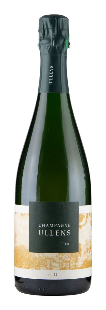 Ullens Brut Lot 12