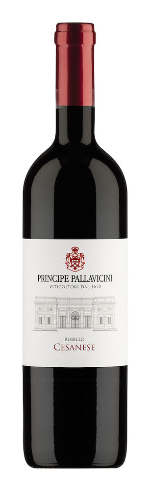 Pallavicini Rubillo 2022