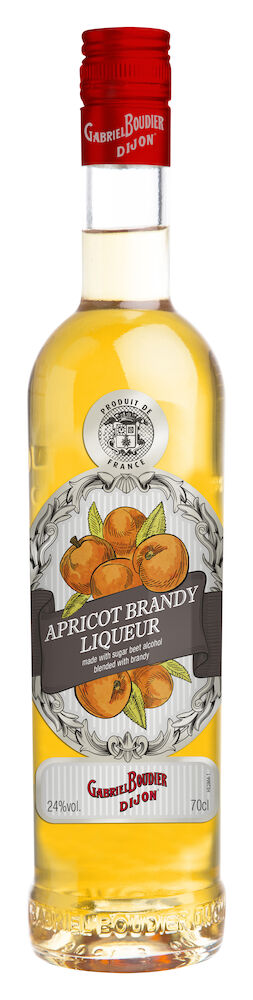 Gabriel Boudier Apricot Brandy
