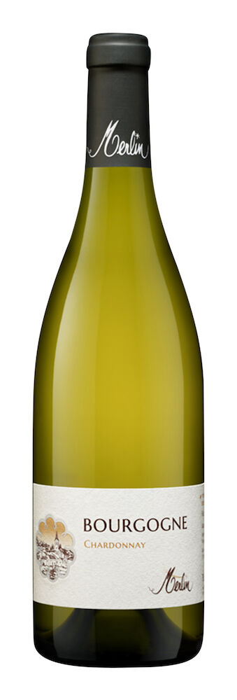 Merlin Bourgogne Blanc 2022