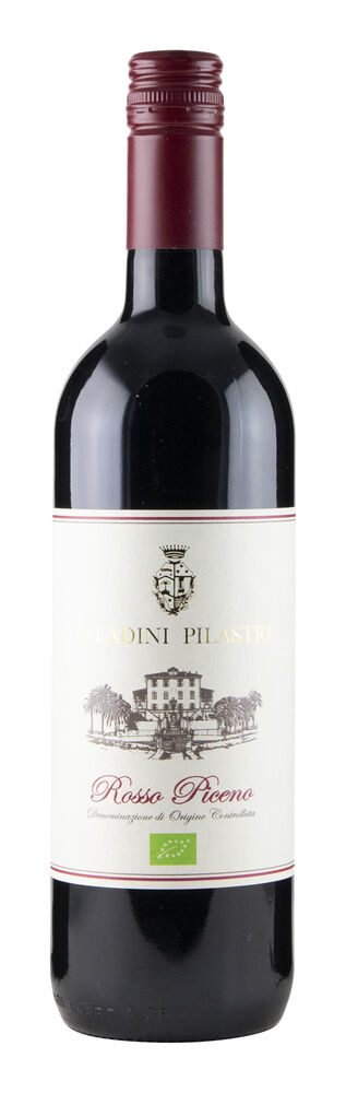 Saladini Pilastri Rosso Piceno 2023