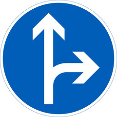 D1.6 Påbjuden körriktning