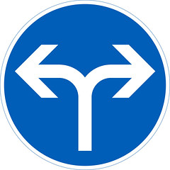 D1.8 Mandatory direction of travel