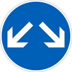 D3.3 Liikenteenjakaja (kahdella nuolella)