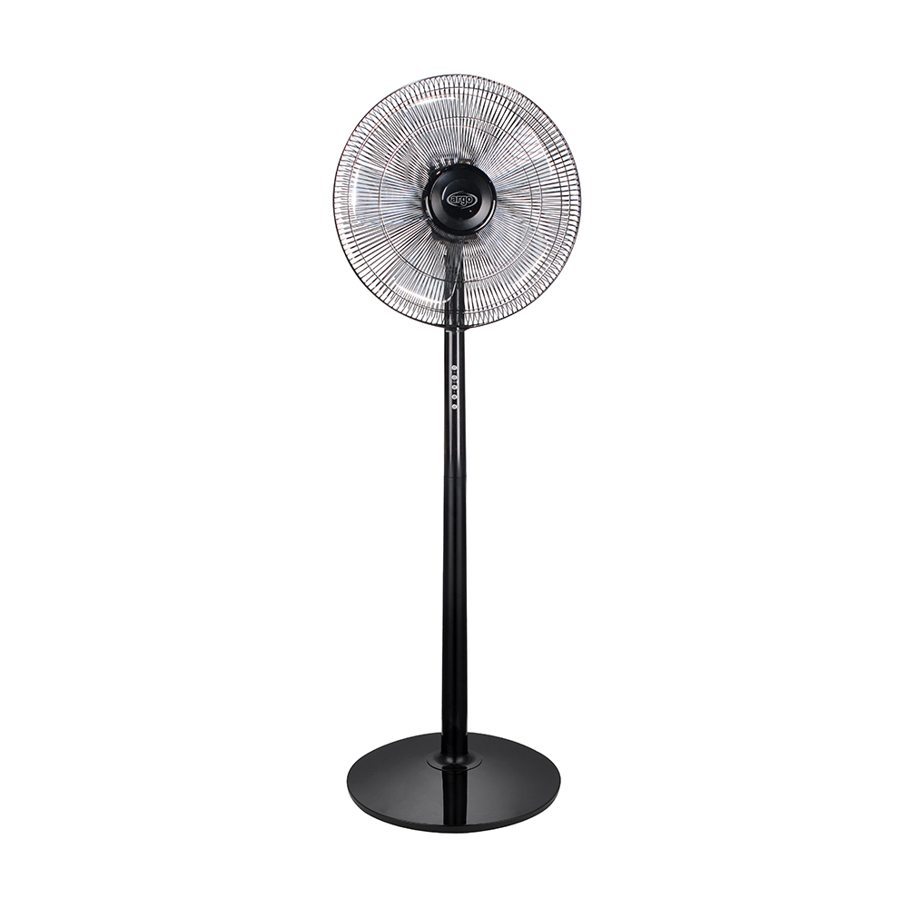 Argo Standy Evo Black