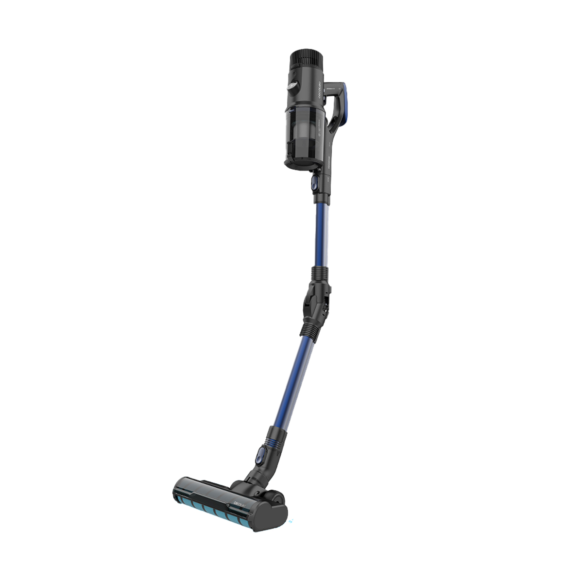 Cecotec Conga Rockstar 6500 Century ErgoWet Animal