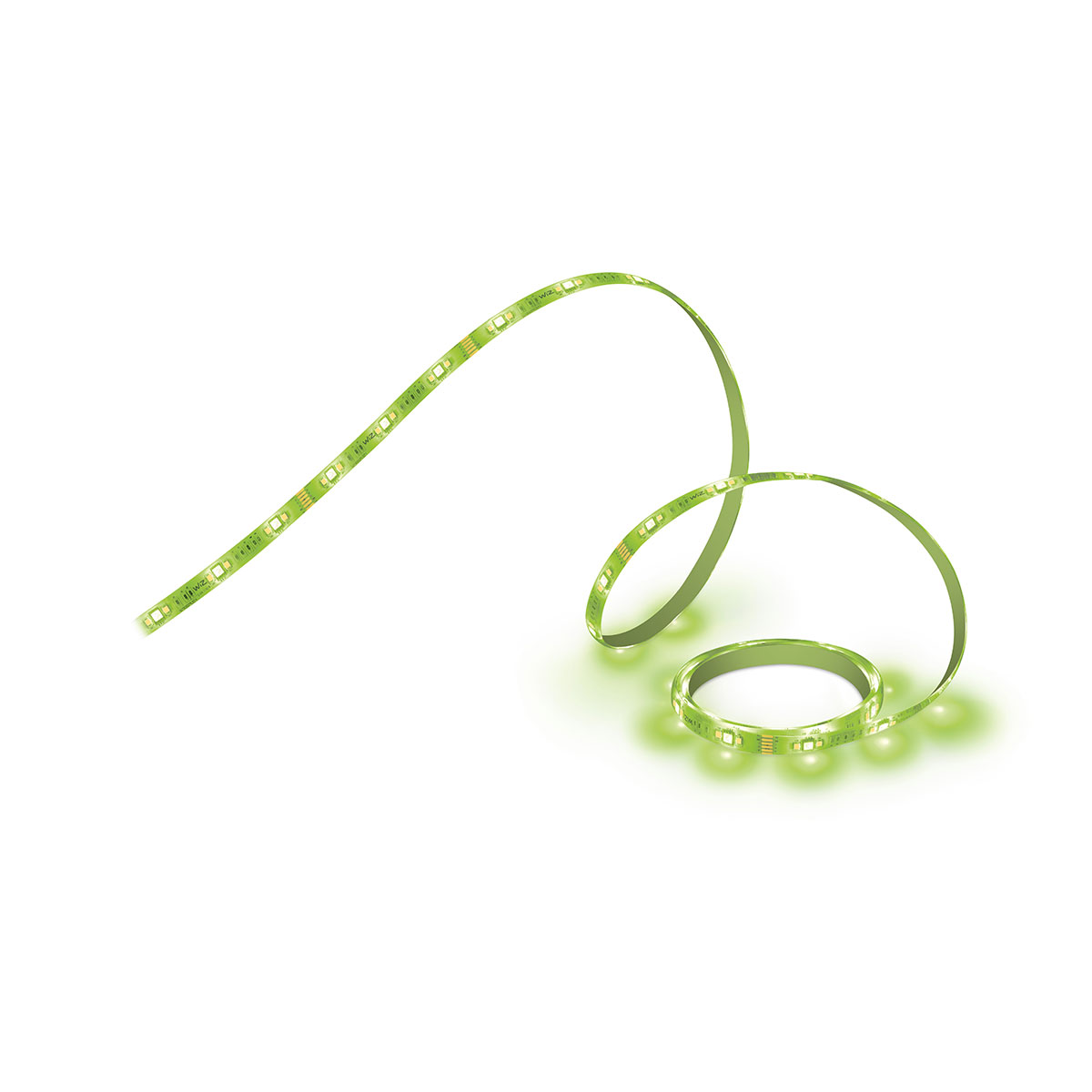Wiz 2M 1600LM Starter Kit