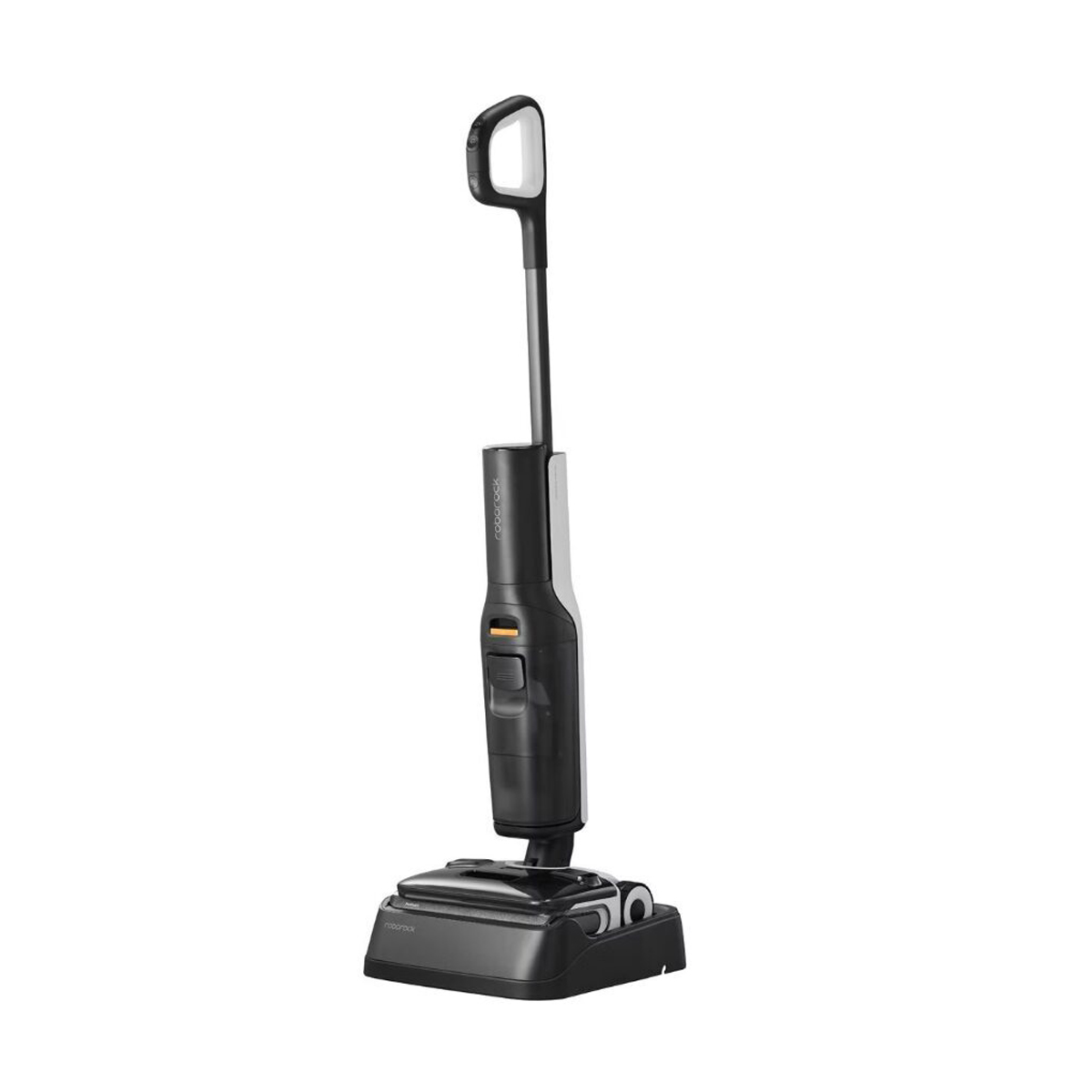 Roborock F25 Ace Black