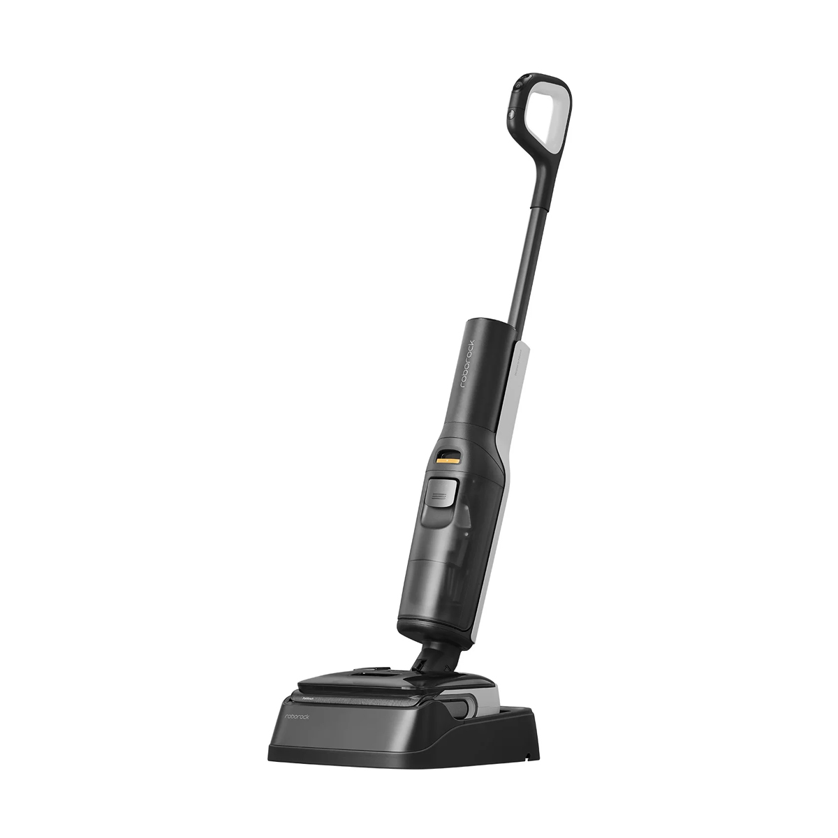 Roborock F25 Black