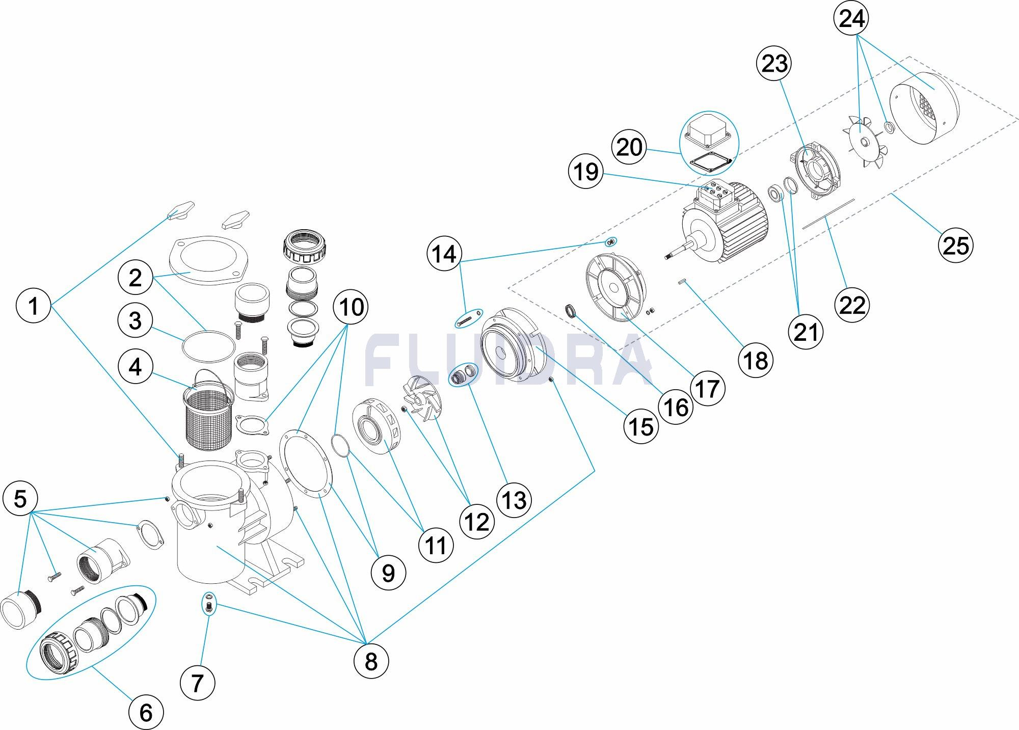 Potencia 1,5 kW (2 CV) Conex. DN 50-2''. Tensión 230/400 V III