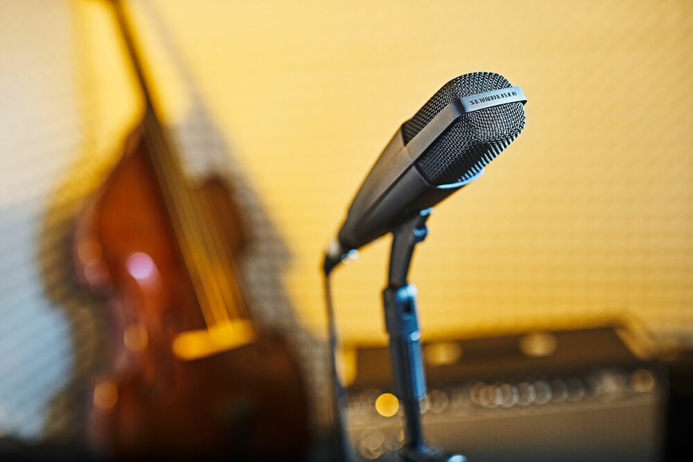 Sennheiser MD 421-II