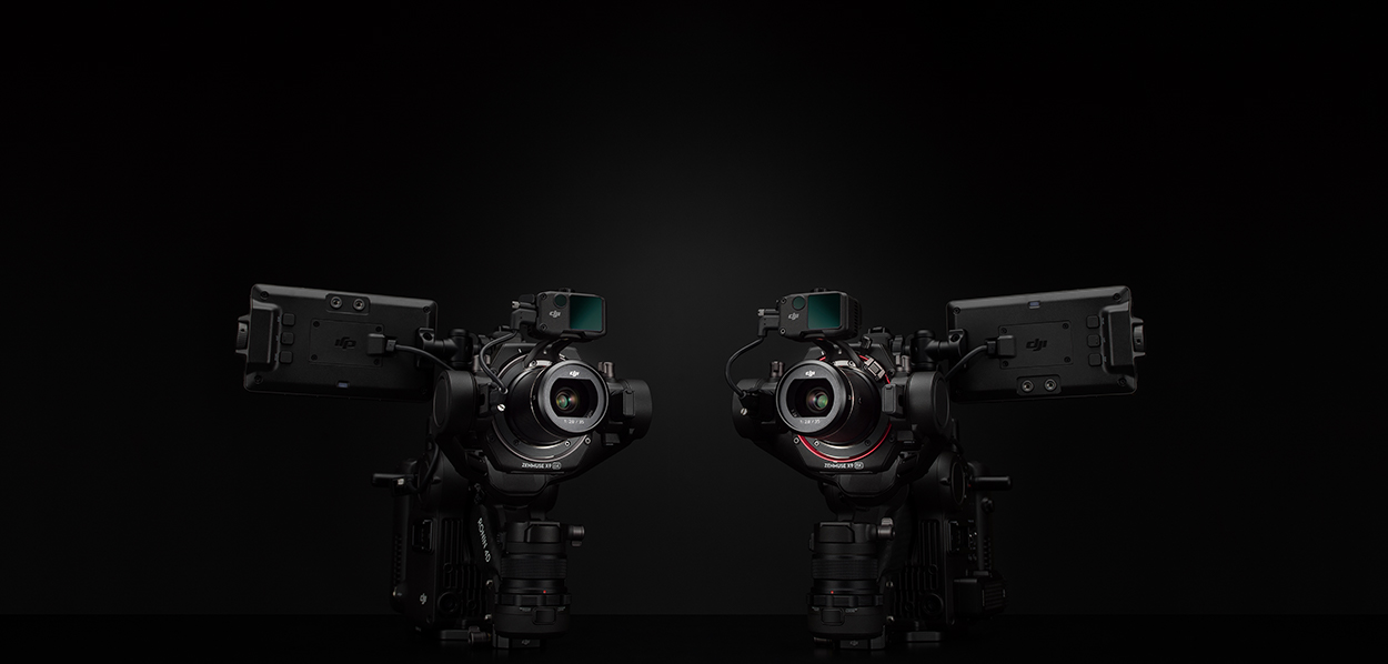ronin 4d