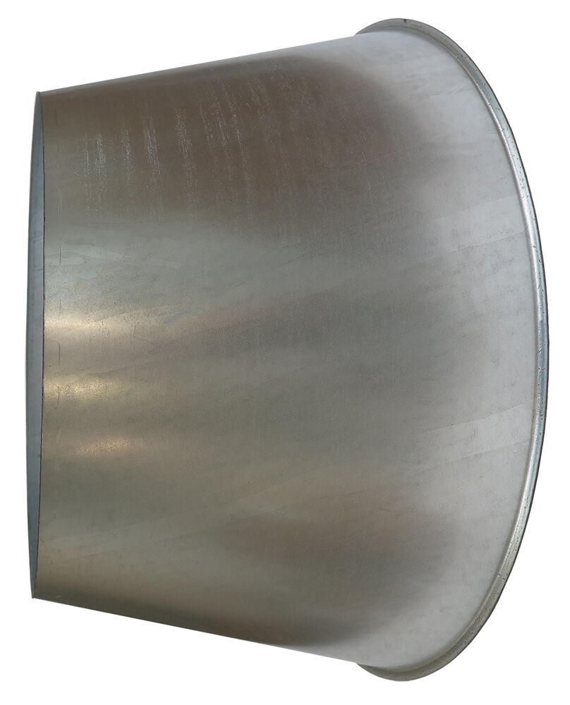 Regulation Cone