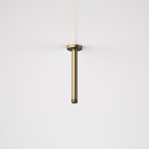 https://asset.productmarketingcloud.com/api/assetstorage/4534_d90ec9e6-b36d-482f-a897-3a2482af7170/ProductThumbnail/99658BB Urbane II Ceiling Arm - 200mm - Brushed Brass.jpg