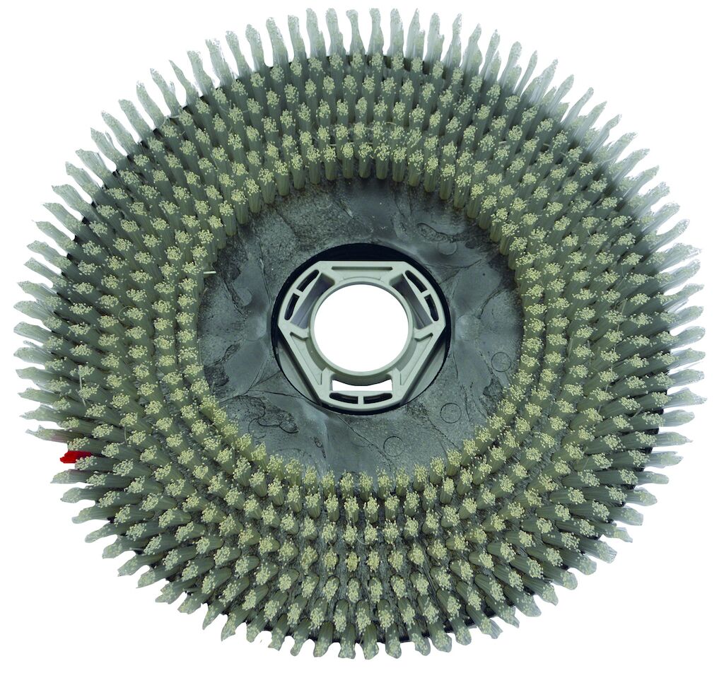 7522221-.jpg