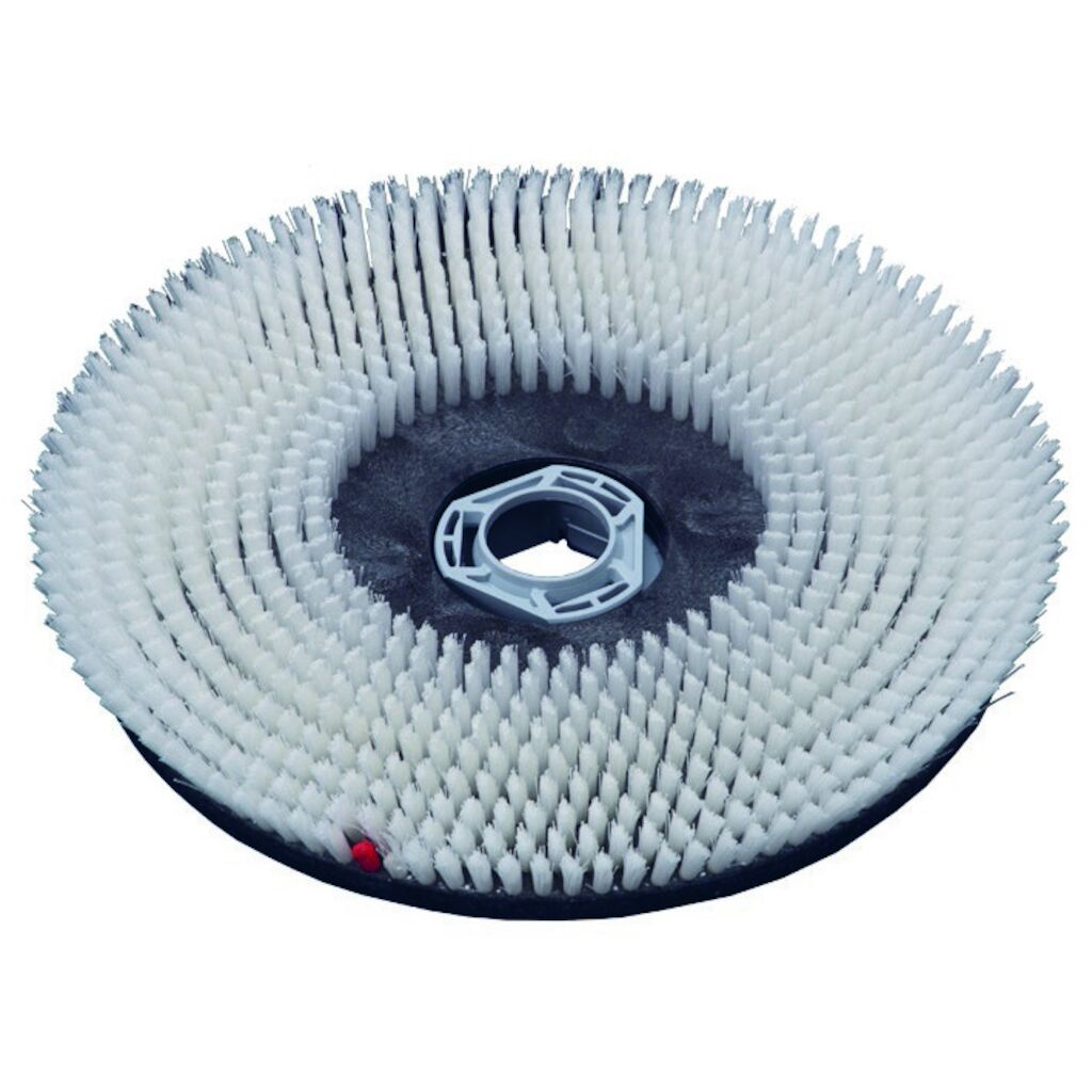 TASKI Scrubbing Brush Washed Concrete 1st - 17" / 43 cm - TASKI swingo 1850, 4000