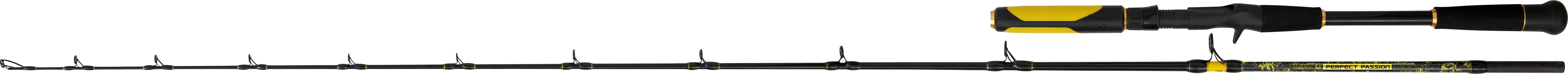 2,20m Perfect Passion Allstar Cast Akce: 30-130g G: 238g