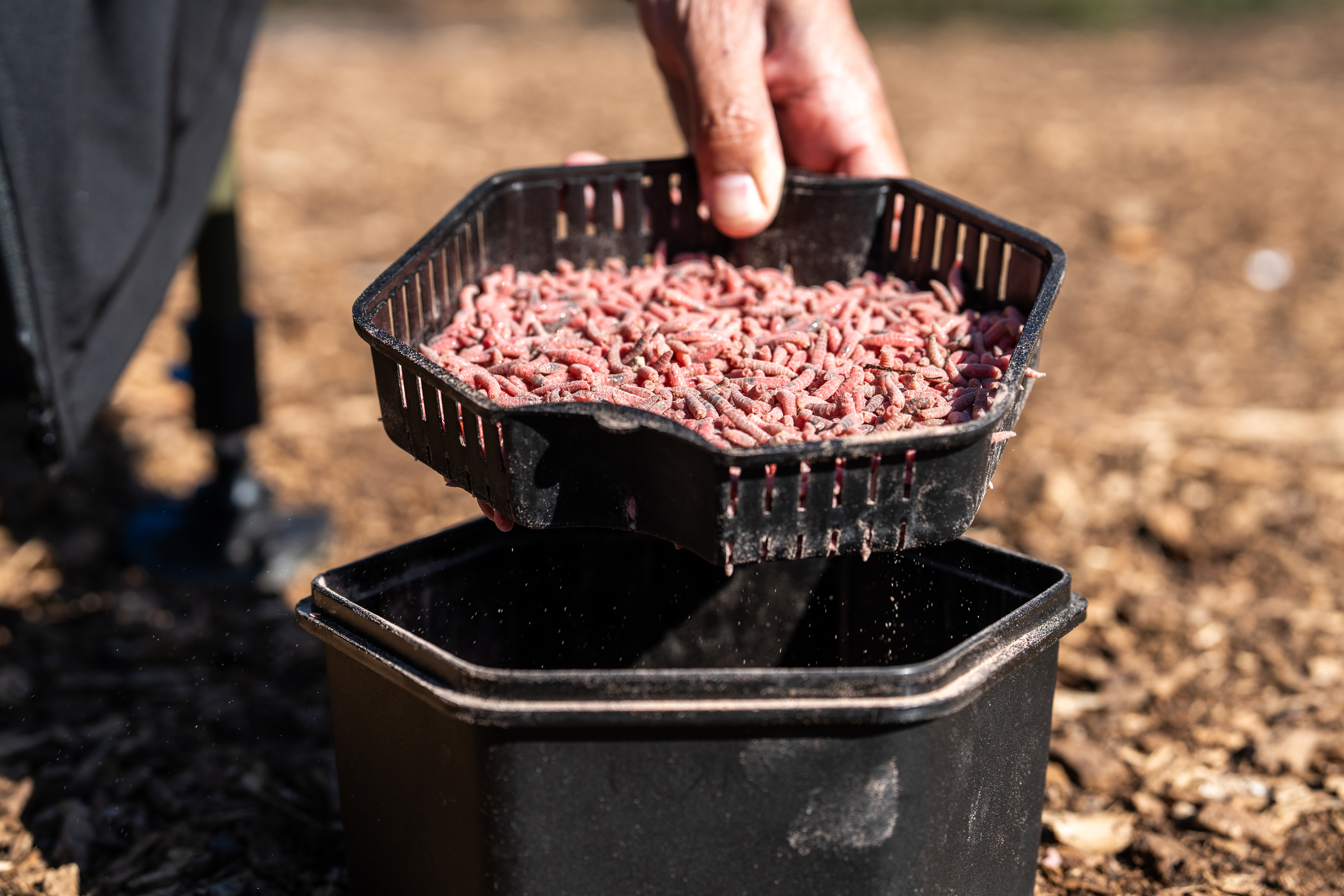 Krabička Zebco Secure-Lock Bait Box And Sieve 2L