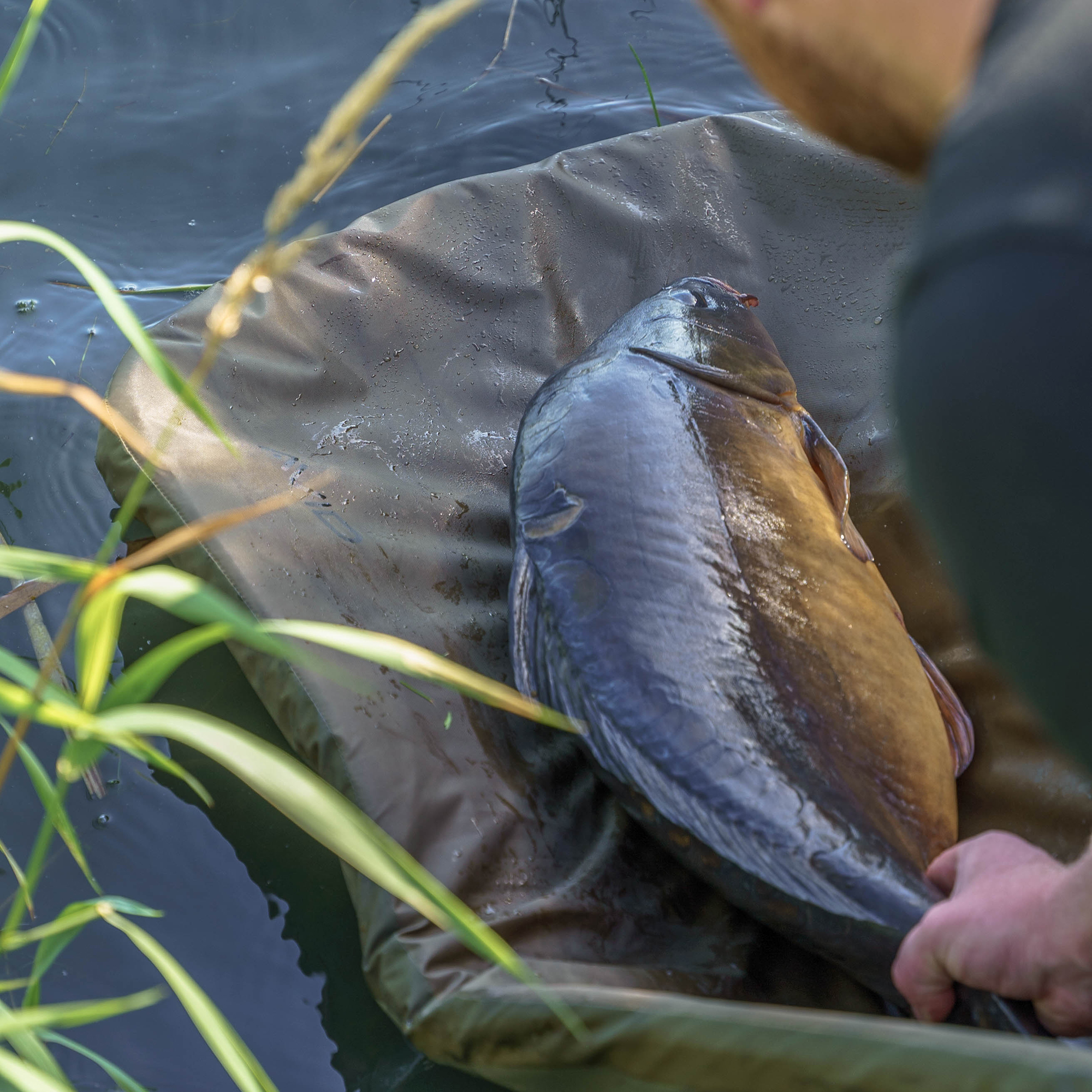 Podložka Avid Carp Revolve Folding Flat Mat