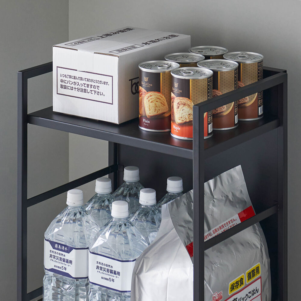 2-Tiered Semi-Closed Storage Wagon : Adjustable Shelf Height