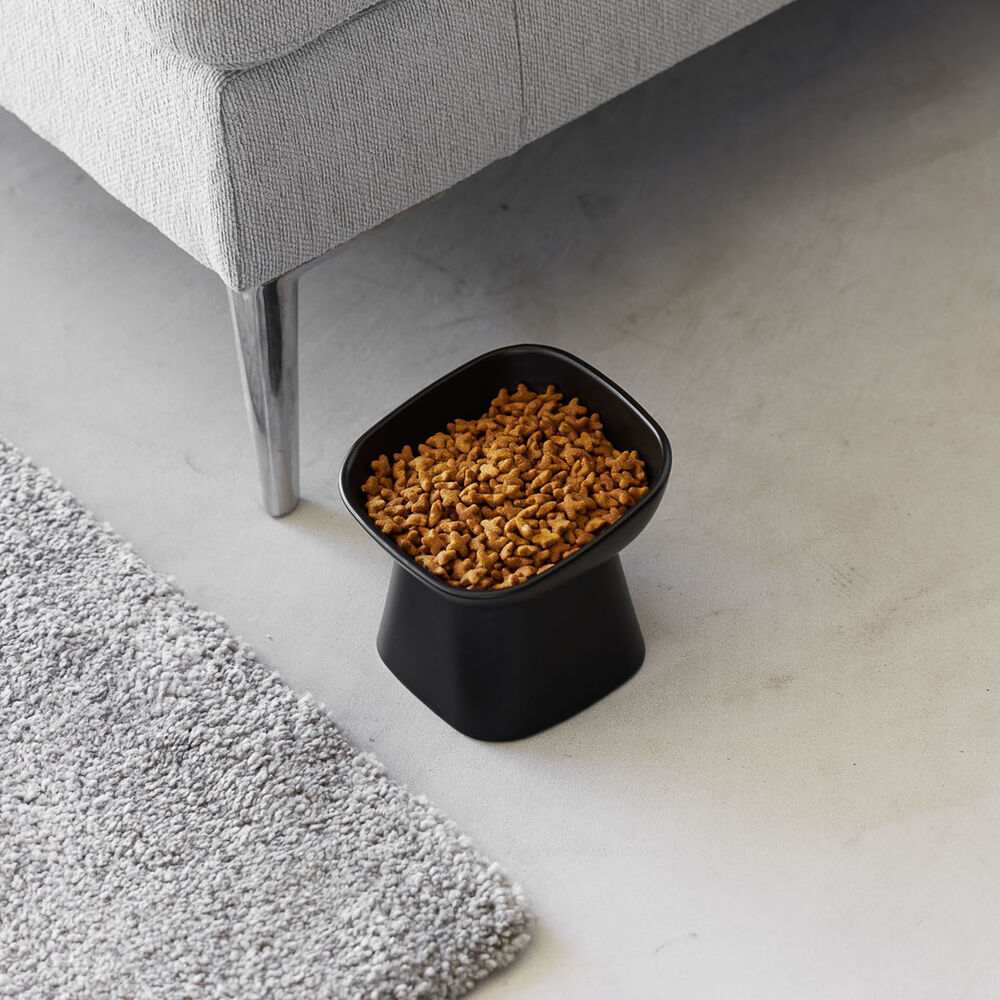 Angled Ceramic Pet Food Bowl : Durable Ceramic